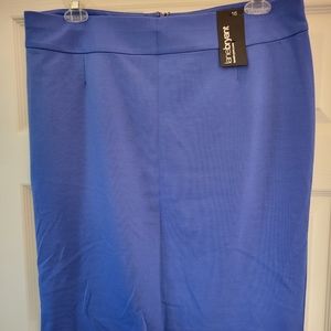 Blue pencil skirt